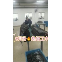 浙江江山電熱棒廠  長白班～兩班倒   男18-55，女18-50周歲