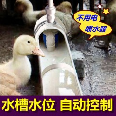 新款雞鴨鵝自動喂水器飲水器家禽鴨子喝水飲水槽牛羊設備養(yǎng)殖用品